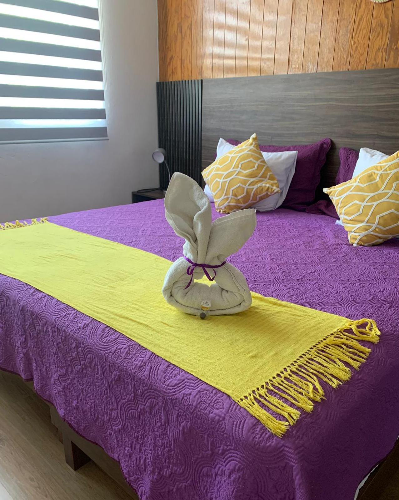 Pino Apartment Oaxaca Εξωτερικό φωτογραφία